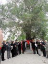 Đại diện VACNE, lãnh đạo tỉnh, và gia tộc mở bia cây di sản Việt Nam trong sự chứng kiến của các quý khách thập phương cùng những người con họ Lại
